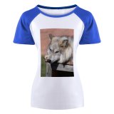 yanfind Women's Sleeve Raglan T Shirt Short Attentive Blurred Calm Comfort Creature Doghouse Ecosystem Fauna Fluff Fur Gaze Habitat