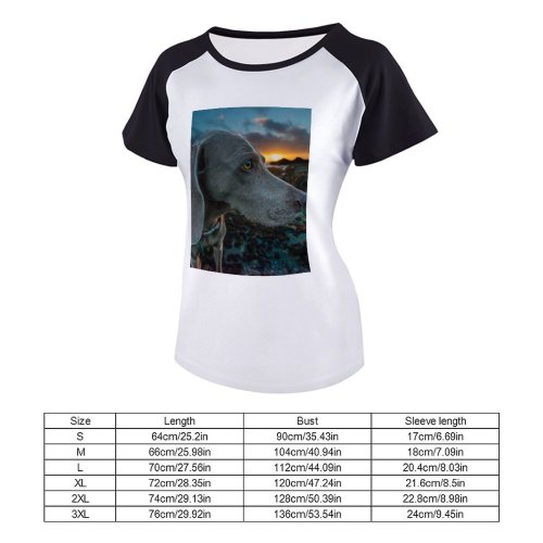 yanfind Women's Sleeve Raglan T Shirt Short Cute Dog Golden Hour Pet Pigeon Point Weimeraner