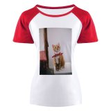 yanfind Women's Sleeve Raglan T Shirt Short Adorable Cat Cats Cute Kitten Kitty Pet Tabby