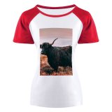 yanfind Women's Sleeve Raglan T Shirt Short Agriculture Cattle Daylight Yak Farm Farmland Field Grass Grassland Hairy Highland Horns