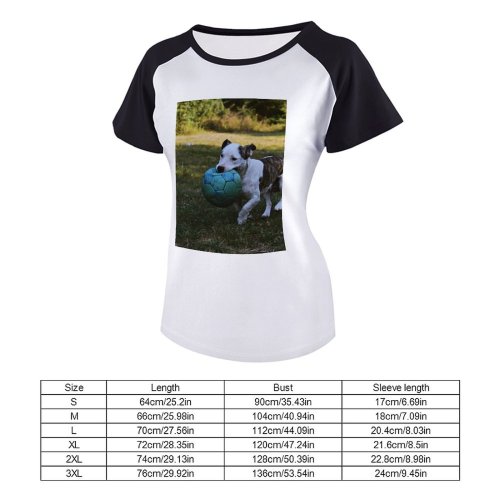 yanfind Women's Sleeve Raglan T Shirt Short Ball Daytime Dog Field Fur Grass Mouth Outdoors Outside Pet Playing Soccer