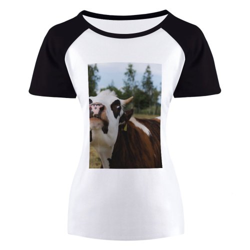 yanfind Women's Sleeve Raglan T Shirt Short Cattle Countryside Cow Cute Farm Grass Outdoors Pasture Rural Trees