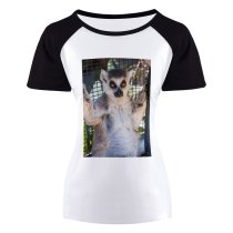 yanfind Women's Sleeve Raglan T Shirt Short Adorable Cute Eyes Fence Fur Furry Lemur Primate Wild Wildlife