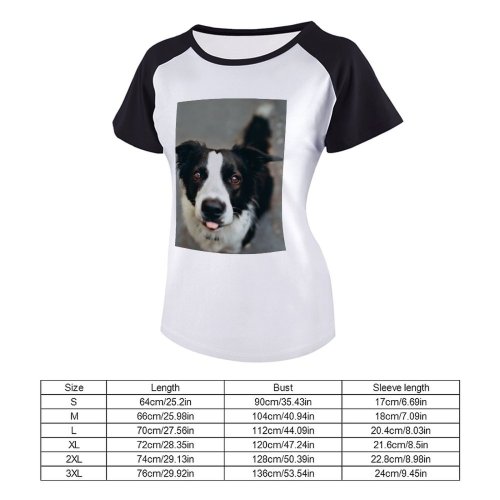 yanfind Women's Sleeve Raglan T Shirt Short Border Collie Eyes Light Daylight Dog Fur Furry Herding Camera Natural Outdoors