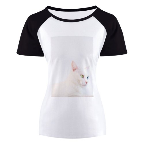 yanfind Women's Sleeve Raglan T Shirt Short Adorable Cat Curiosity Cute Downy Fur Kitten Kitty Little Pet Portrait Studio