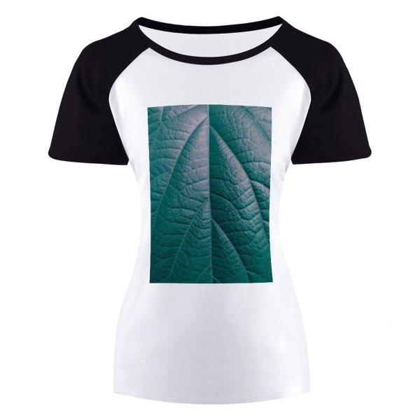 yanfind Women's Sleeve Raglan T Shirt Short Abstract Asymmetry Biology Leaf Macro Texture Vein