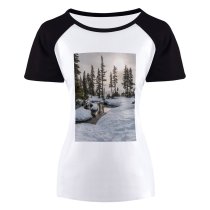 yanfind Women's Sleeve Raglan T Shirt Short Creek Daylight Focus Forest Freeze Frost Frozen Landscape Natural Outdoors