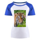 yanfind Women's Sleeve Raglan T Shirt Short Big Carnivore Cat Felidae Fur Plants Stripes Tigris Whiskers Wild