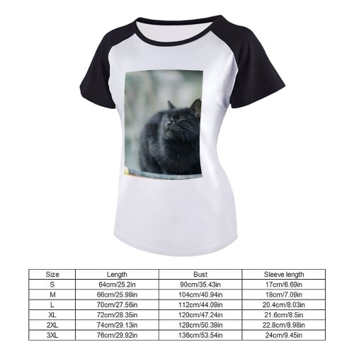 yanfind Women's Sleeve Raglan T Shirt Short Adorable Cat Closed Eyes Cute Pet Selective Focus
