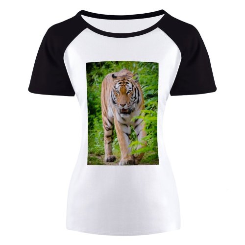 yanfind Women's Sleeve Raglan T Shirt Short Big Cat Biology Carnivore Fangs Felidae Ferocious Fierce Fur Furious Plants Stripes