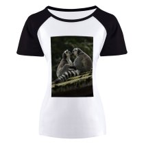 yanfind Women's Sleeve Raglan T Shirt Short Cute Daylight Fur Furry Grey Kissing Lemur Little Outdoors Wild Wildlife