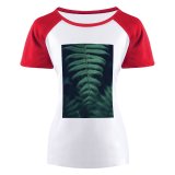 yanfind Women's Sleeve Raglan T Shirt Short Leaves Frond Leaf Macro Plant