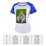 yanfind Women's Sleeve Raglan T Shirt Short Cute Monkey Primate Wildlife _