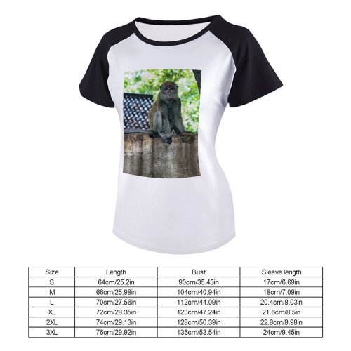 yanfind Women's Sleeve Raglan T Shirt Short Eyes Fur Monkey Outdoors Wild Wildlife