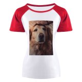 yanfind Women's Sleeve Raglan T Shirt Short Adorable Cute Depth Field Dog Focus Fur Furry Golden Pet Petting