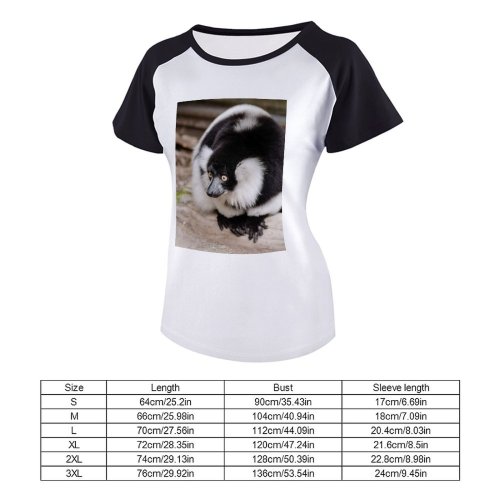 yanfind Women's Sleeve Raglan T Shirt Short Endangered Eyes Fur Furry Glare Lemur Primate Ruffed Sit Wild Wildlife
