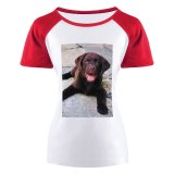 yanfind Women's Sleeve Raglan T Shirt Short Adorable Pet Puppy