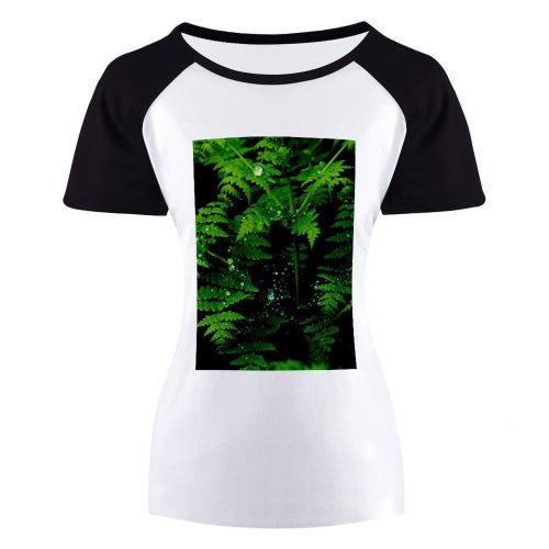 yanfind Women's Sleeve Raglan T Shirt Short Bracken Branch Dewdrops Leaves Flora Freshness Frond Garden Growth Leaf Outdoors