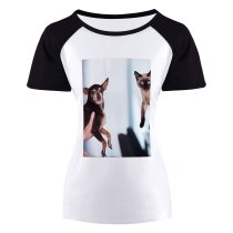 yanfind Women's Sleeve Raglan T Shirt Short Adorable Care Cat Cute Dog Facial Expression Family Friendship Funny Fur Kitten