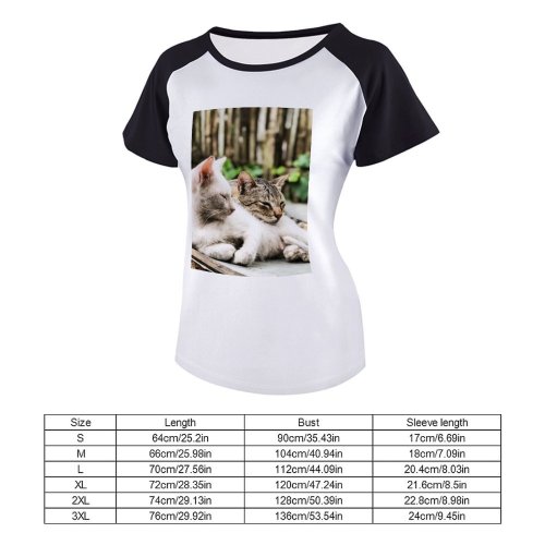 yanfind Women's Sleeve Raglan T Shirt Short Adorable Blurr Cats Cute Depth Field Cat Felidae Focus Fur Furry Kitty