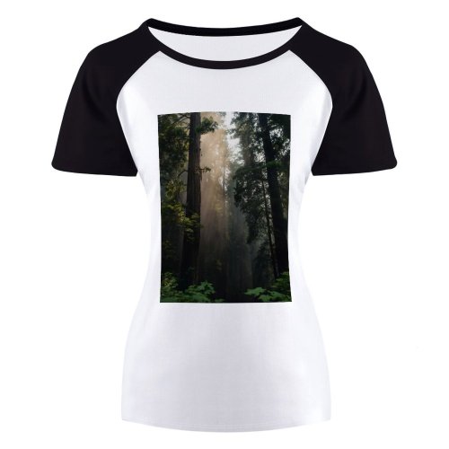 yanfind Women's Sleeve Raglan T Shirt Short Coniferous Trees Fog Foggy Haze Hazy Idyllic Mist Misty Murky