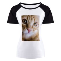 yanfind Women's Sleeve Raglan T Shirt Short Adorable Cat Cats Cute Fur Kitten Kitty Little Pet Tabby Whisker Young