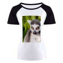 yanfind Women's Sleeve Raglan T Shirt Short Cute Fur Grey Leaves Lemur Outdoors Plant Primate Wild Wildlife