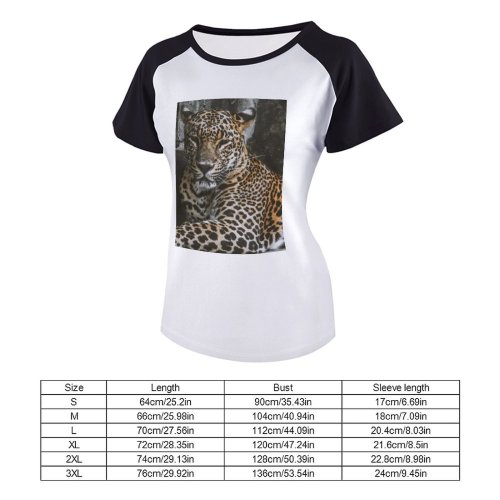 yanfind Women's Sleeve Raglan T Shirt Short Big Cat Cheetah Dangerous Ferocious Leopard Wild Wildlife