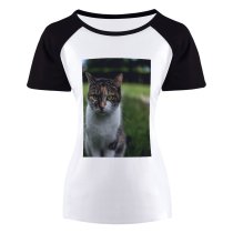 yanfind Women's Sleeve Raglan T Shirt Short Cat Cute Little Pet