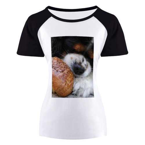 yanfind Women's Sleeve Raglan T Shirt Short Cute Daytime Dog Eyes Fur Hungry Little Outdoors Pavement Pet Puppy Sesame