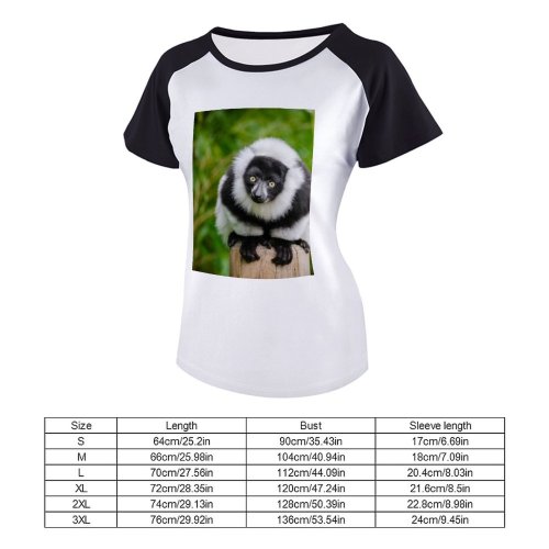 yanfind Women's Sleeve Raglan T Shirt Short Furry Glare Lemur Primate Ruffed Tree Trunk Wild Wildlife Wood