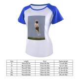 yanfind Women's Sleeve Raglan T Shirt Short Cute Daylight Dog Field Grass Jumpshot Outdoors Pet