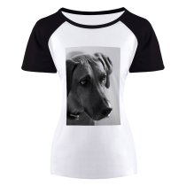 yanfind Women's Sleeve Raglan T Shirt Short Adorable Cute Dog Pet Puppy Rhodesian Ridgeback