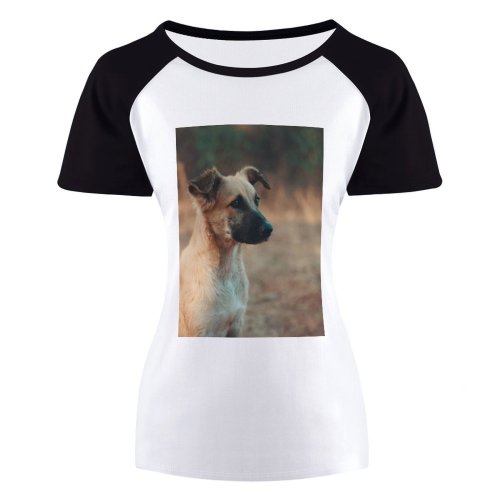 yanfind Women's Sleeve Raglan T Shirt Short Cute Dog Fur Pet Portrait Puppy Sit