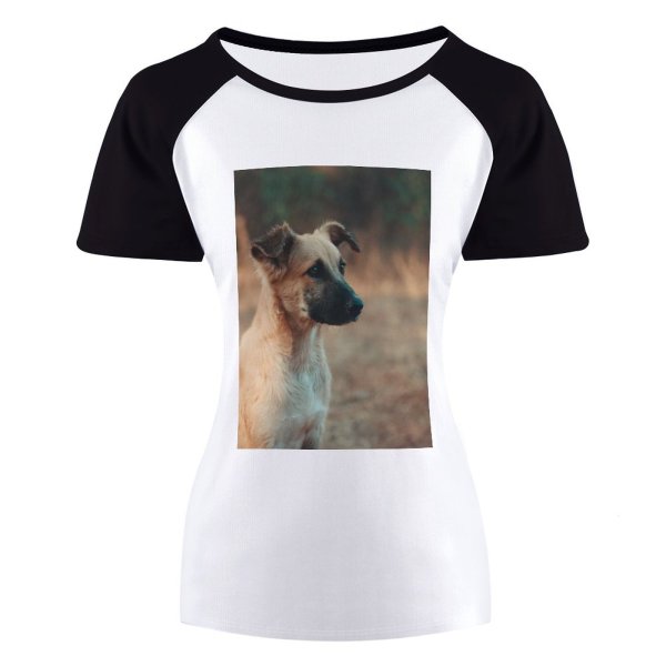 yanfind Women's Sleeve Raglan T Shirt Short Cute Dog Fur Pet Portrait Puppy Sit