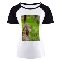 yanfind Women's Sleeve Raglan T Shirt Short Fur Grass Leaves Lemur Primate Tree Trunk Wild Wildlife Wood