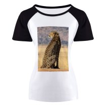 yanfind Women's Sleeve Raglan T Shirt Short Big Cat Cheetah Daylight Safari Savanna Africa Wild Wildlife