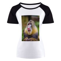 yanfind Women's Sleeve Raglan T Shirt Short Cute Mandrill Monkey Primate Wildlife