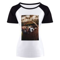 yanfind Women's Sleeve Raglan T Shirt Short Basket Eyes Daylight Focus Fur Grass Little Natural Light Outdoors Puppies Selective