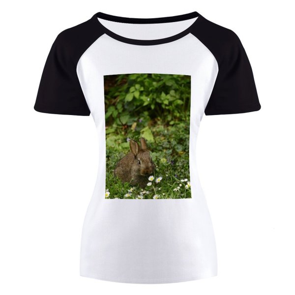 yanfind Women's Sleeve Raglan T Shirt Short Cute Field Outdoors Rabbit