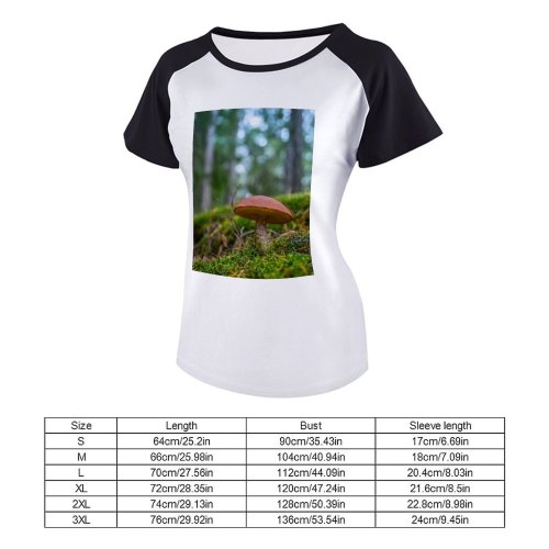 yanfind Women's Sleeve Raglan T Shirt Short Boletus Fungus Macro Mushroom Outdoors Toadstool
