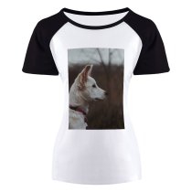 yanfind Women's Sleeve Raglan T Shirt Short Cute Dog Hound Pet