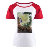 yanfind Women's Sleeve Raglan T Shirt Short Big Carnivore Cat Felidae Fur Grass Leaves Panthera Soil Stripes