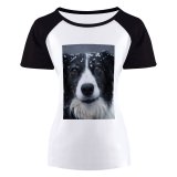 yanfind Women's Sleeve Raglan T Shirt Short Adorable Border Collie Cute Dog Eyes Fur Outdoors Pedigree Pet Portrait Snow