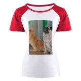 yanfind Women's Sleeve Raglan T Shirt Short Adorable Cute Dog Little Pet Puppy Sit
