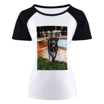 yanfind Women's Sleeve Raglan T Shirt Short Adorable Cute Dog Pet Pool Portrait
