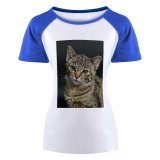 yanfind Women's Sleeve Raglan T Shirt Short Cat Face Cat's Eyes Focus Fur Furry Kitten Little Nose Pet Whiskers