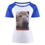 yanfind Women's Sleeve Raglan T Shirt Short Cute Dog Golden Pet