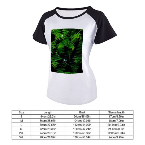 yanfind Women's Sleeve Raglan T Shirt Short Bracken Branch Dewdrops Leaves Flora Freshness Frond Garden Growth Leaf Outdoors