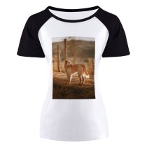 yanfind Women's Sleeve Raglan T Shirt Short Adorable Canidae Cute Road Dog Furry Golden Hour Outdoors Pet